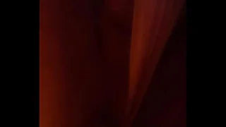 Vibri